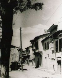 Tav�anl�da Sokak