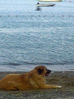 7 Temmuz 2012 Kumla-Gemlik